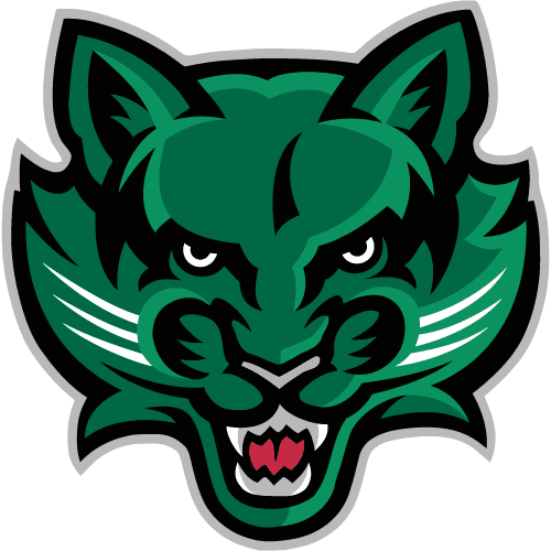 Binghamton logo