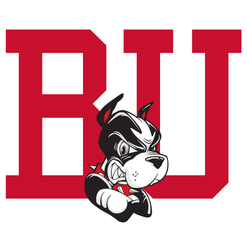 Boston logo