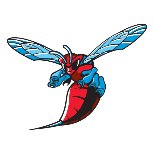 Delaware State logo