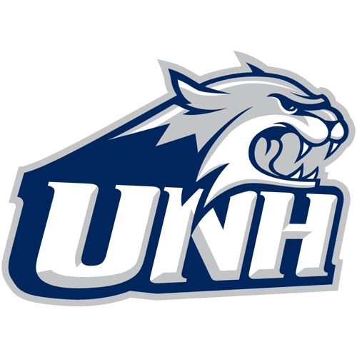 New Hampshire logo