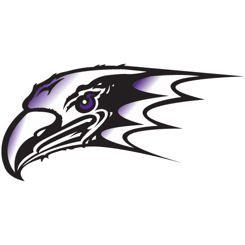 Niagara logo