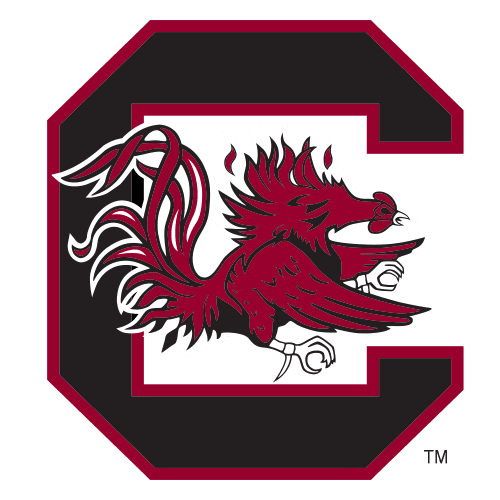 South Carolina logo