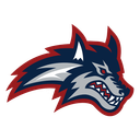 Stony Brook logo